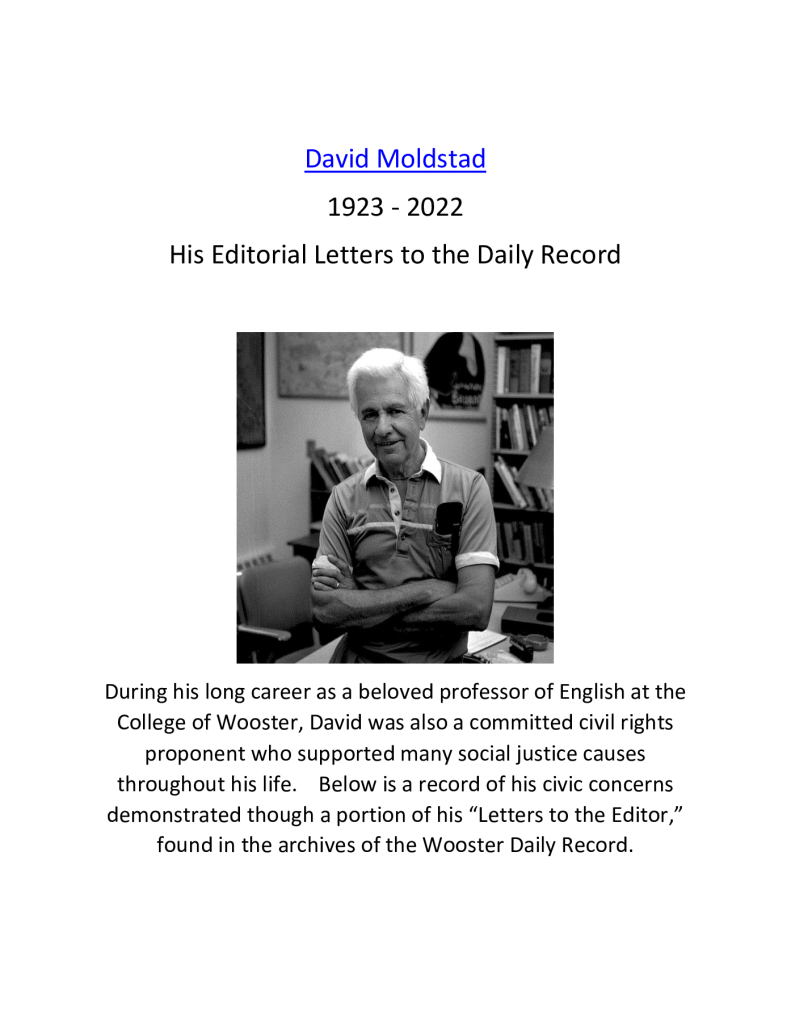 david_moldstad_editorials